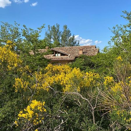Luci Sui Monti Bed & Breakfast Sarnano Dış mekan fotoğraf